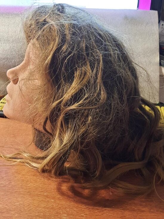 NEW  ! Long 21 Inch Hair Curly Wavy Wig Dark Blonde